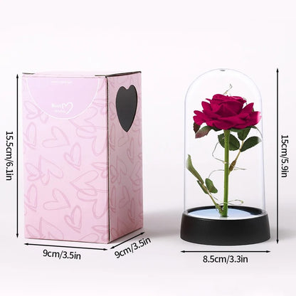Cúpula de Rosa Eterna con Luz